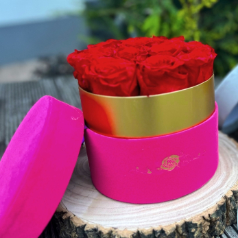 Stabilizované ruže v sametovom okrúhlom ružovom boxe