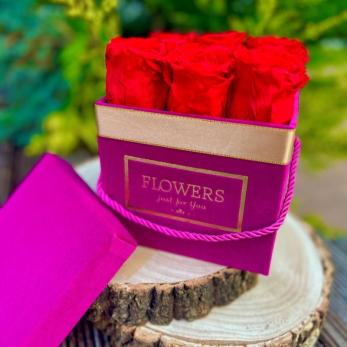 Stabilizované ruže v sametovom fialovom hranatom boxe