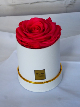 Stabilizované ruže - minibox biely - červené ruže