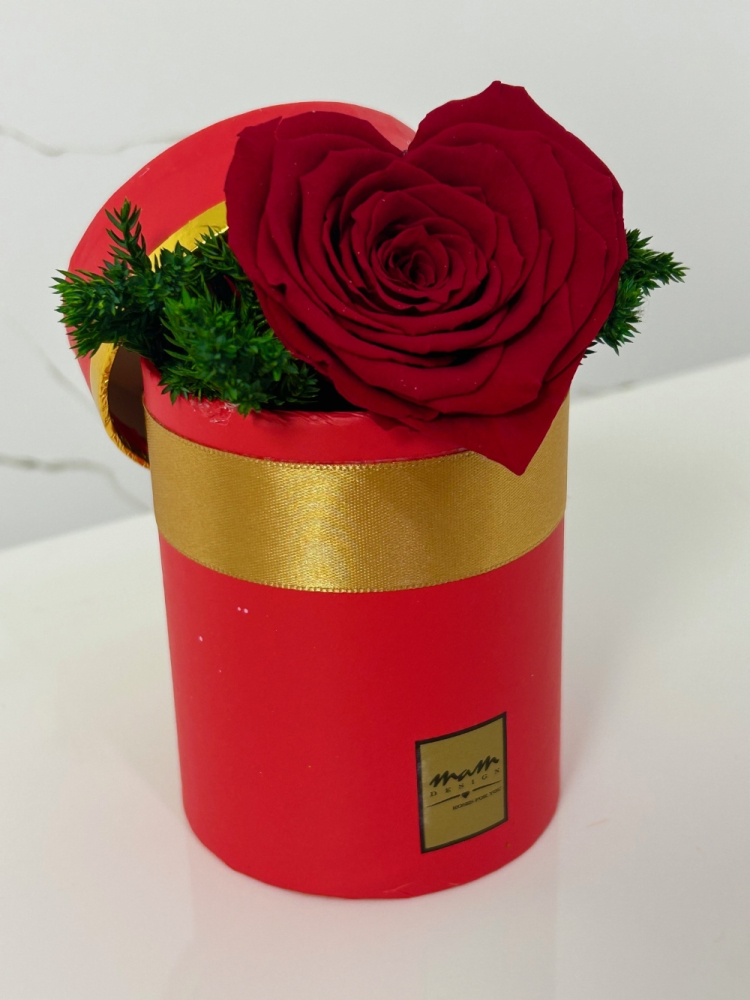 Stabilizované ruže - minibox biely - červená ruža