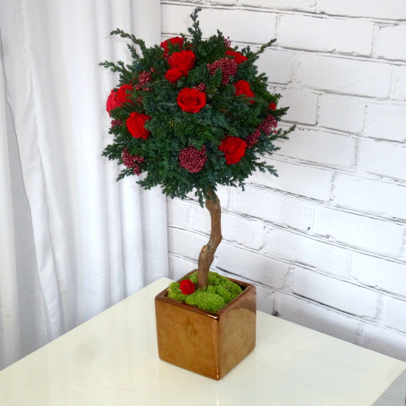 Stromček z červených stabilizovaných ruží + juniperus